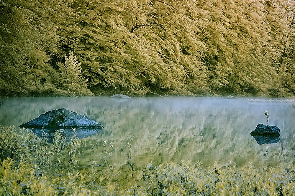 Rocks In The Buffalo