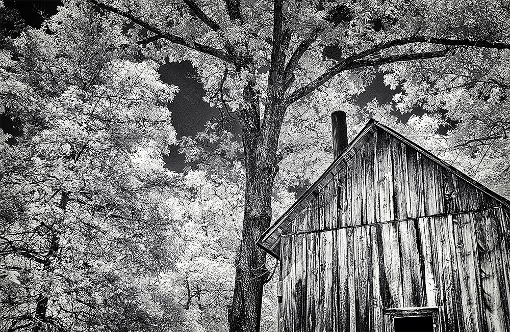 Rush Blacksmith Building And Tree