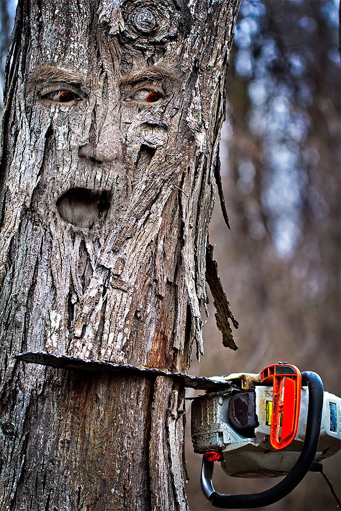 Tree Spirit Versus A Chainsaw In The Ozarks