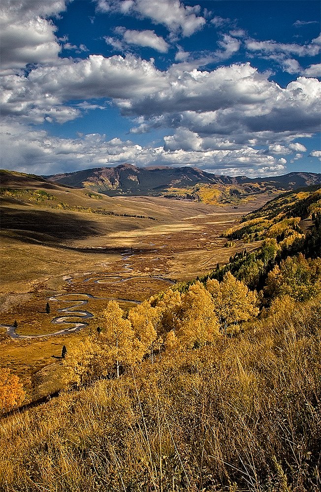 Valley Stream