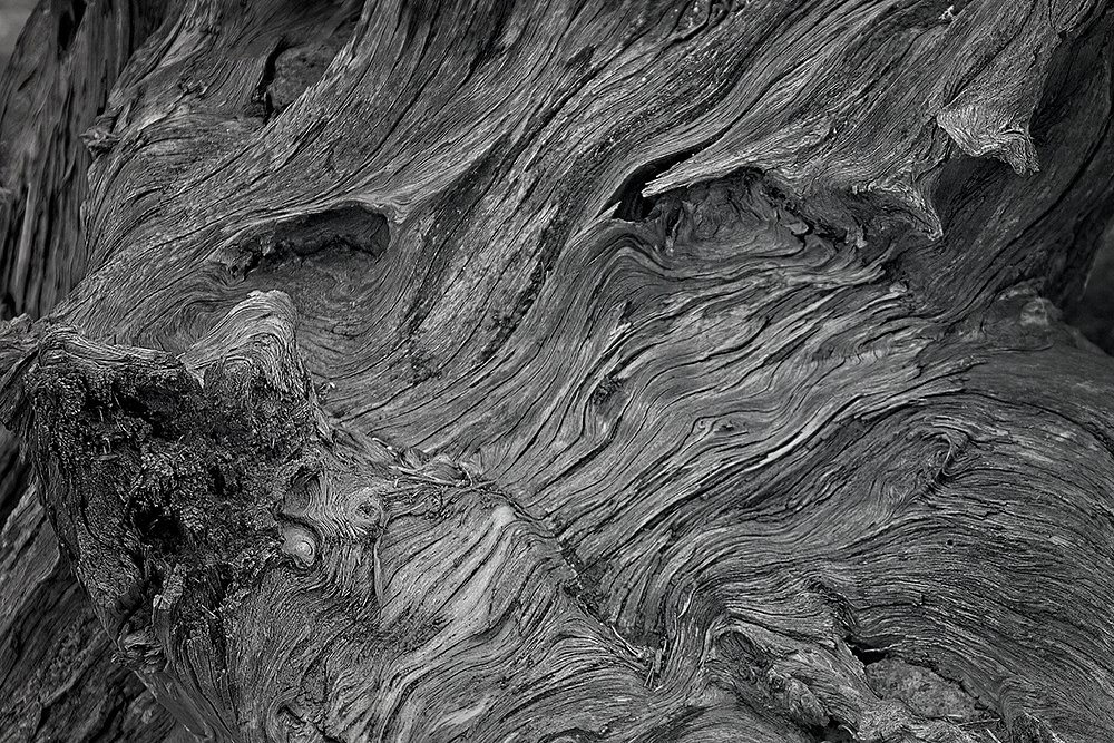 Weathered Designs