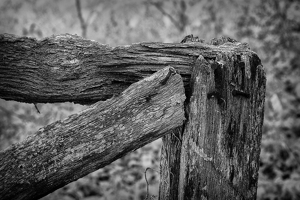 Weathered Fence