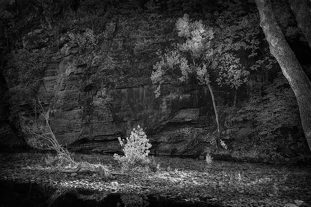 Along The Banks Of The Buffalo National River
