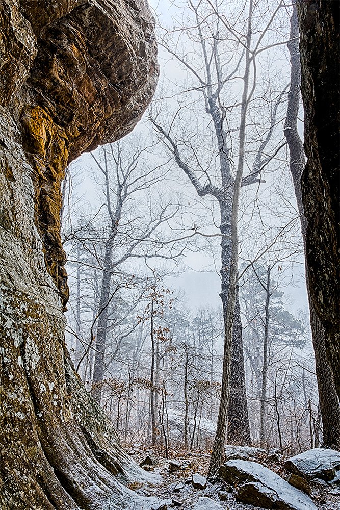 Fresh Snow In The Arkansas Ozarks