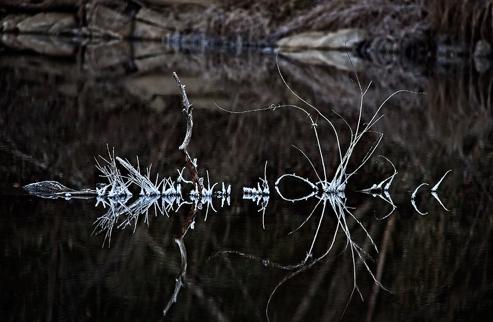 Frozen Abstract