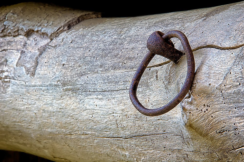 Hitching Ring On Barn Log